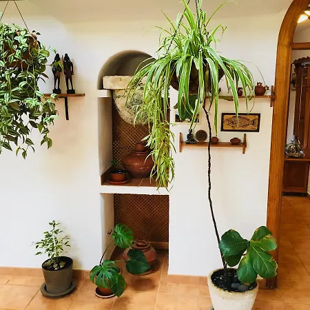 Casa De Las Dos Palmeras * Haría